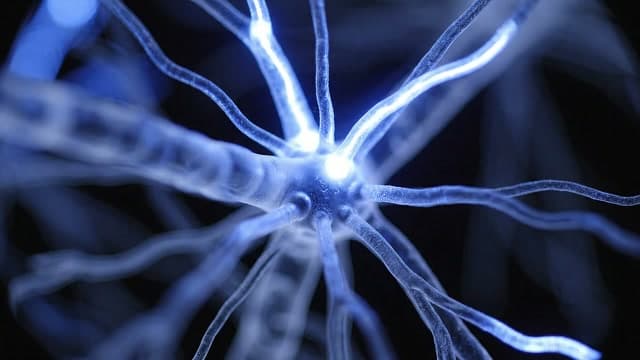The Universe Within, a VIDEO ART project by Ezgi Ergül